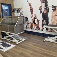 Rewarding Dog Day Care & Grooming Business for Sale - Prime Stanmore, NSW Location - High Foot Traffic - Brand New Fit-Out - New Equipment -Ample Park image