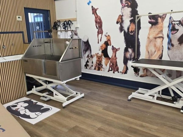 Rewarding Dog Day Care & Grooming Business for Sale - Prime Stanmore, NSW Location - High Foot Traffic - Brand New Fit-Out - New Equipment -Ample Park