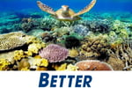 Fishing Tackle - A Lifestyle to Enjoy