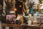Boutique Plant / Garden Nursery & Giftware Store  Creative Lifestyle Business | Sydney