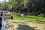 Sacred Owl Tours - Day Tours Departing Cairns, Port Douglas
