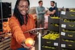 Wholesale Fruit & Veg Distribution Business