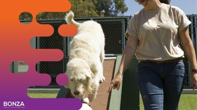 Established Dog Day Care & Grooming Business - SOLD
