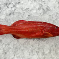 Fresh Seafood and Gourmet Take-Away Store image