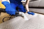 Highly Successful Carpet Cleaning