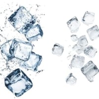 Freehold Ice Supplier in the Wide Bay Burnett Region Solid Performer image