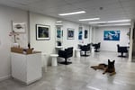 Modern Boutique Hair Salon with Loyal and Expanding Client Base