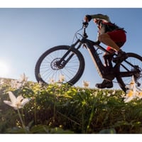 23201 Successful & Longstanding Electric Bicycle Retailer - Lucrative Market image