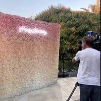 Event Flower Wall Hire and Styling – Gold Coast, QLD image