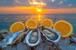 Hospitality Lease for Sale in Paradise: Beachside Bar Grill