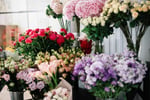 LOTTERYWEST / NEWS / FRESH FLOWERS