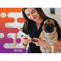 36275 - Mobile Dog Grooming Opportunity With Strong Demand image