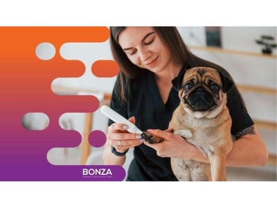 36275 - Mobile Dog Grooming Opportunity With Strong Demand image