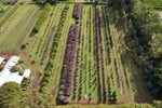 FREEHOLD Foliage Farm Supplying the Florist Industry - Silvan, VIC