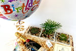 Succulent Surprise - Established Online Plant Store and Gifting Brand - National Opportunity