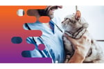 36686 Profitable Mobile Veterinary Business - Low Overheads