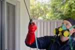 Pest Control is Very High Profit Margins + Low Costs = Great Profits!
