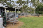THRIVING BUTCHER SHOP  SMOKEHOUSE  FREEHOLD PROCESSING PLANT