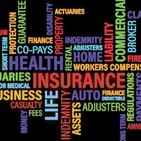 Established Insurance Brokerage  $2.56M image