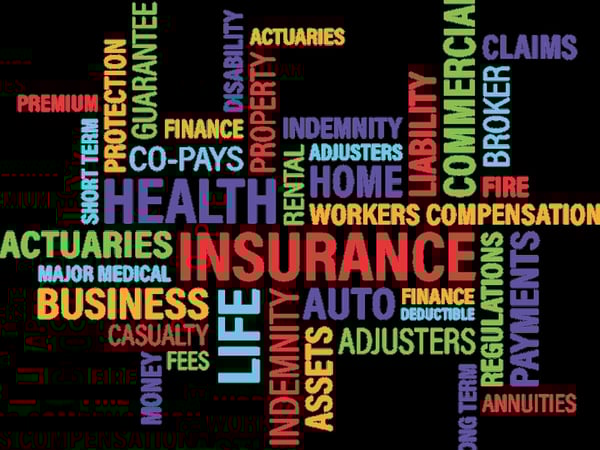 Established Insurance Brokerage  $2.56M