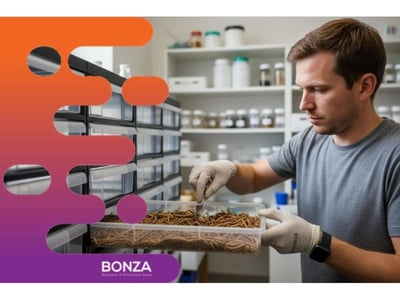 37229 - Profitable Insect Breeding Business - Strong Wholesale Demand image