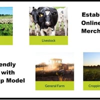 Strategic Investment: Established Online Rural Merchandise image