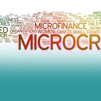 SOLD & MORE WANTED: Micro Lending / Financial Services Business for Sale ST1317 image