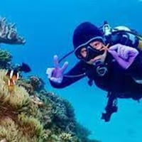 Professional Scuba Retailer image