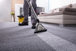Carpet Cleaning & Pest Control $230,000 Profit
