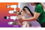 35658 Well-Established Mobile Dog Grooming Business with Strong Local Following