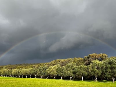 40 ACRE RESORT FROM HEAVEN - LEASEHOLD OPPORTUNITY image