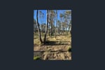 Thirty-Two Acres of Land With Winery & Caravan Park Permit