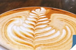 Cafe For Sale Macquarie Park Low Rent Long Lease