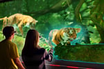 Welcome to the Future of Entertainment: The Hologram Zoo - Melbourne, VIC