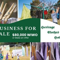 30-Year Clothesline & Hoist Business image