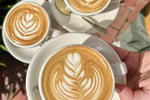 Unique Thriving Cafe Geelong