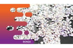 34572 Online Niche Product Retailer - 8+ Years of Success
