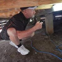 Profitable Building and Pest Inspection Business in Brisbane Region image