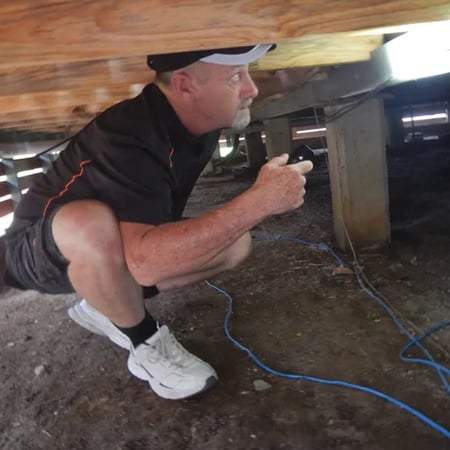 Profitable Building and Pest Inspection Business in Brisbane Region