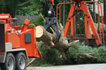 Long-Standing Arborist Business with Loyal Clientele