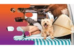 35537 Profitable Campervan & Car Rental Business - Ready for New Ownership