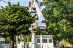 Vegetation Maintenance Municipal Contractor - EBS