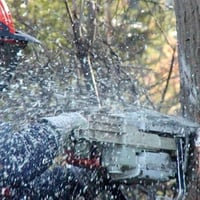 Tree Services image