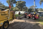Two Long-Established Arborist Businesses with Strong Cashflow & Major Contracts