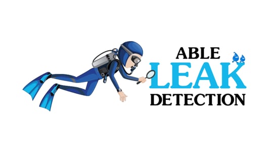 Able Leak Cover Image