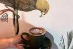Sweetbrew & Co  Cafe with Bar Setup