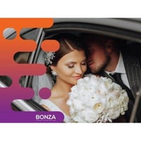 35220 Profitable Luxury Transfer Business - Wedding Specialists image