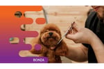 34576 Exciting Opportunity: Turnkey Mobile Dog Grooming Service