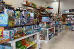 Fantastic Toys Loved by All - Unique, Popular, Exclusive