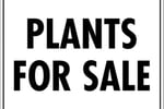 Wholesale Plants -  45years One Owner